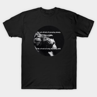 Lion T-Shirt